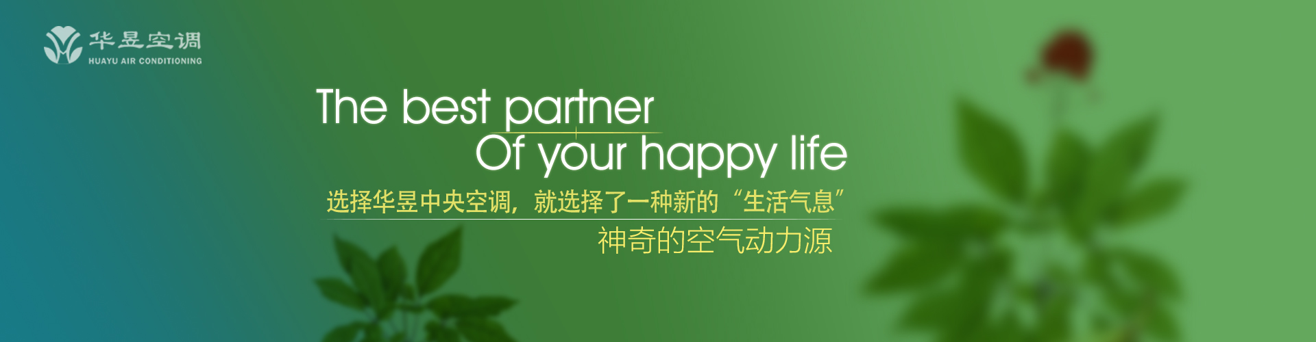 十万火速网